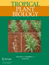 Tropical Plant Biology杂志封面